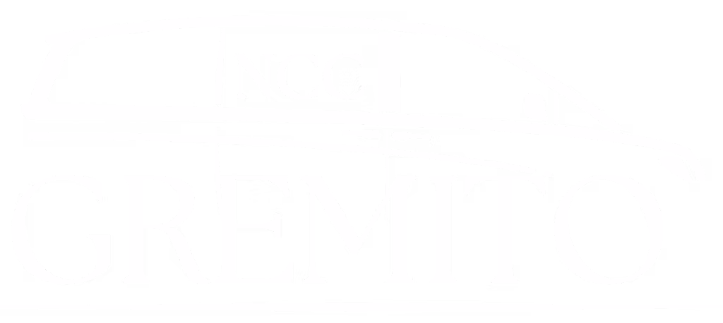 Logo taxi ncc rimini. riccione